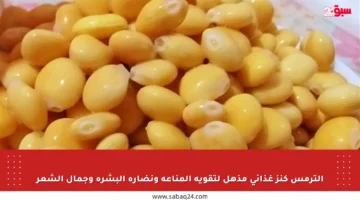 الترمس كنز غذائي مذهل لتقوية المناعة ونضارة البشرة وجمال الشعر